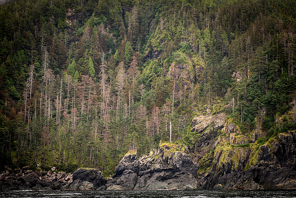 Fishing_750_9617