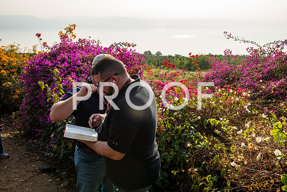 2018_Israel_Trip_04_02-Beatitudes7229