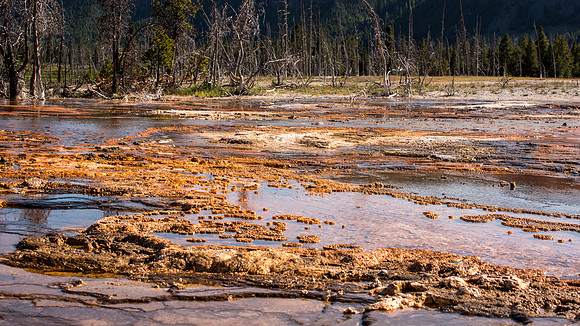 2020_FamilyVaca_Day05_Yellowstone_20200709_174159.3962
