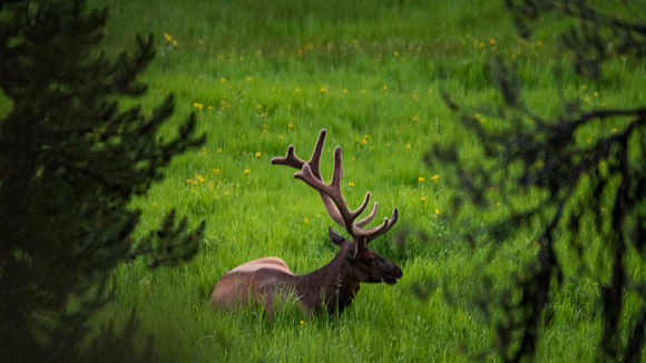 2020_FamilyVaca_Day09_Shelby-CodyByYellowstone_20200713_210538.5004