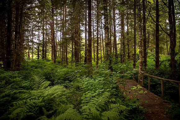 HarrisRiver_750_9193