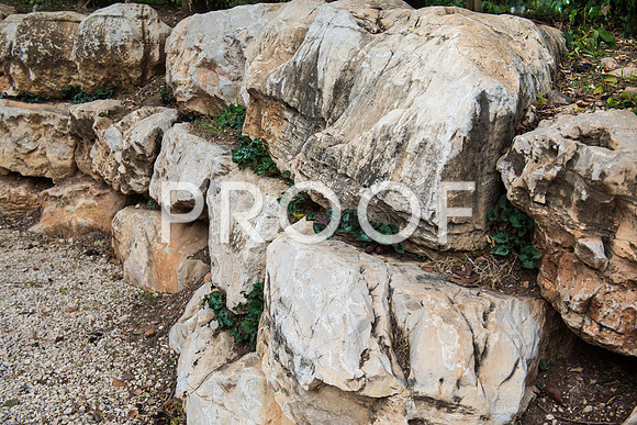 2018_Israel_Trip_03_04-GideonSprings7046