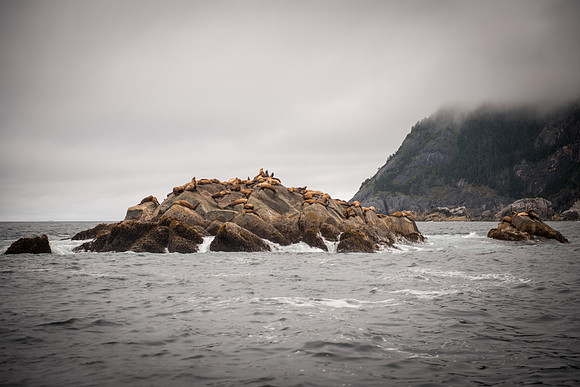 Fishing_750_9459