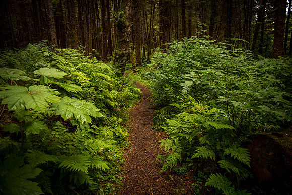 HarrisRiver_750_9184