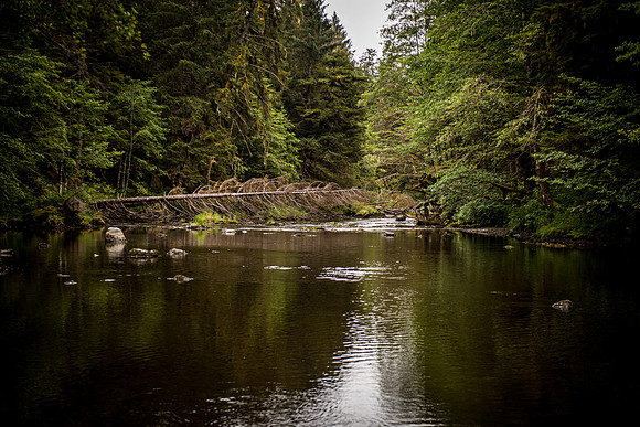 HarrisRiver_750_9189