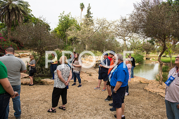 2018_Israel_Trip_03_04-GideonSprings7032