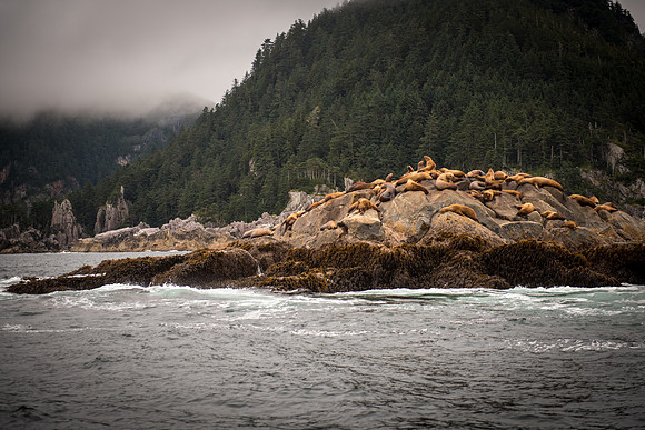 Fishing_750_9467
