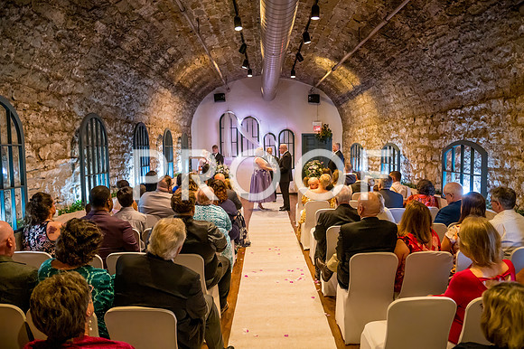 2024-Kussman-Wedding-164426-3195