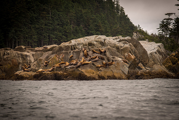 Fishing_610_2088