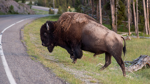 2020_FamilyVaca_Day05_Yellowstone_20200709_205935.4095