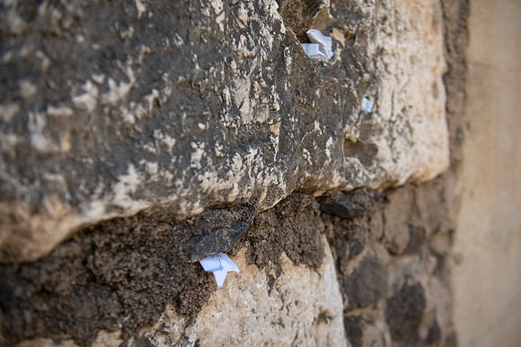 0490_2015_Israel_Trip_3980