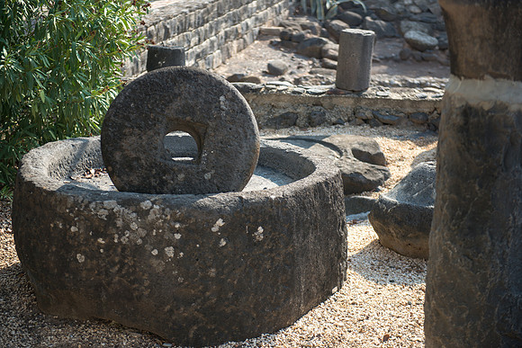 0498_2015_Israel_Trip_3988