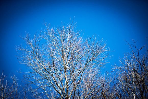 0022_2015_Trip_To_MO_8241