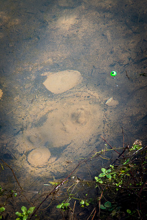 0009_2015_Trip_To_MO_8152