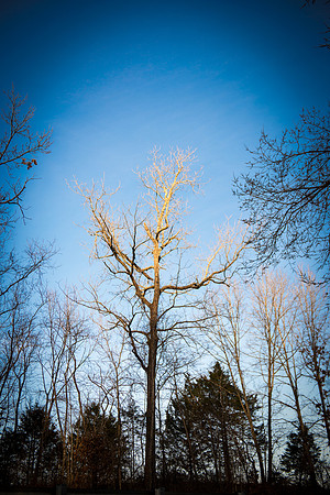 0030_2015_Trip_To_MO_8276