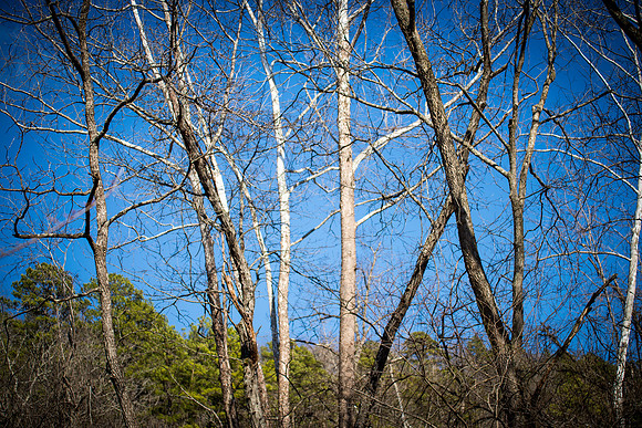 0021_2015_Trip_To_MO_8240
