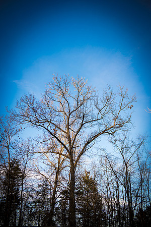 0031_2015_Trip_To_MO_8278