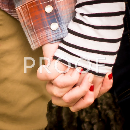 0055-2016_Angles_Family_3211