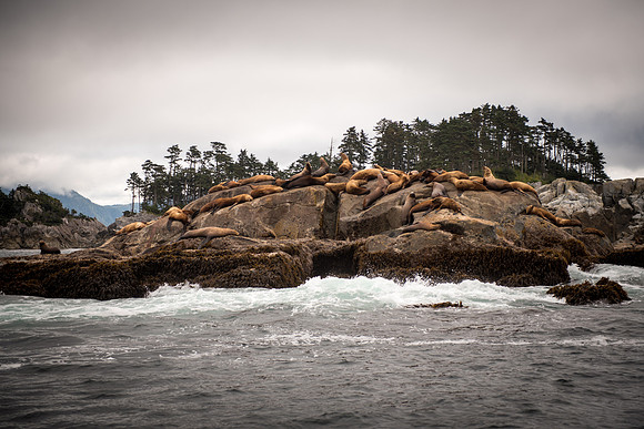 Fishing_750_9476