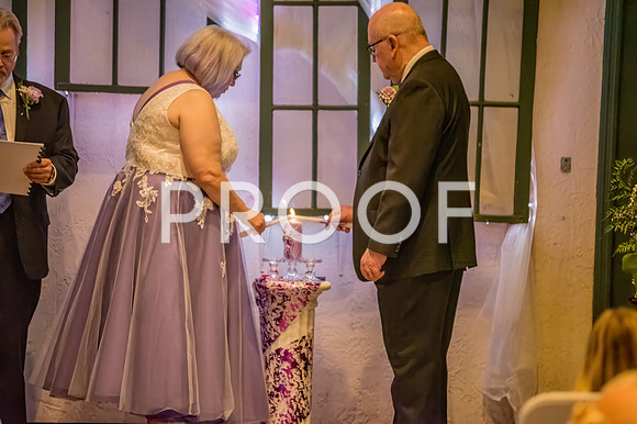 2024-Kussman-Wedding-165126-6090