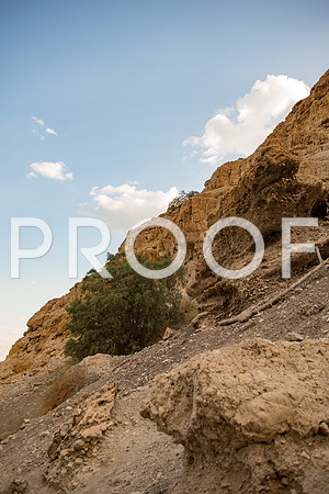 2018_Israel_Trip_05_05-7602
