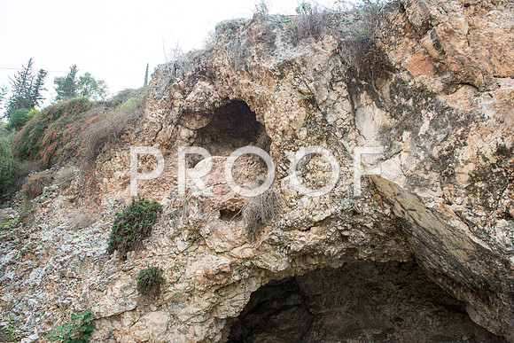 2018_Israel_Trip_03_04-GideonSprings7028