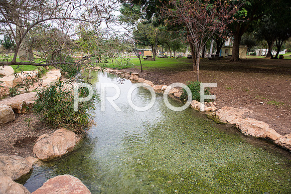 2018_Israel_Trip_03_04-GideonSprings7030