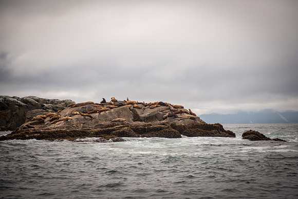 Fishing_750_9484