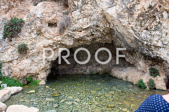 2018_Israel_Trip_03_04-GideonSprings7029