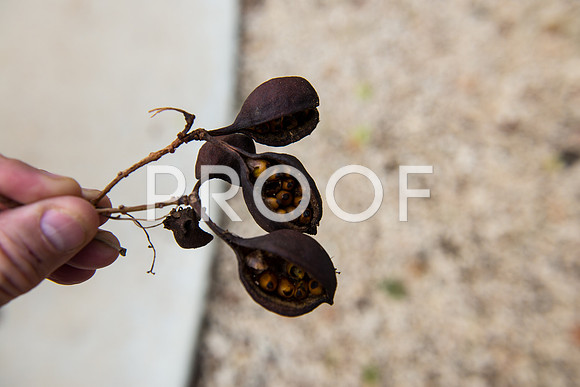 2018_Israel_Trip_03_04-GideonSprings7048
