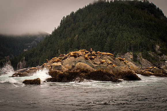Fishing_610_2075