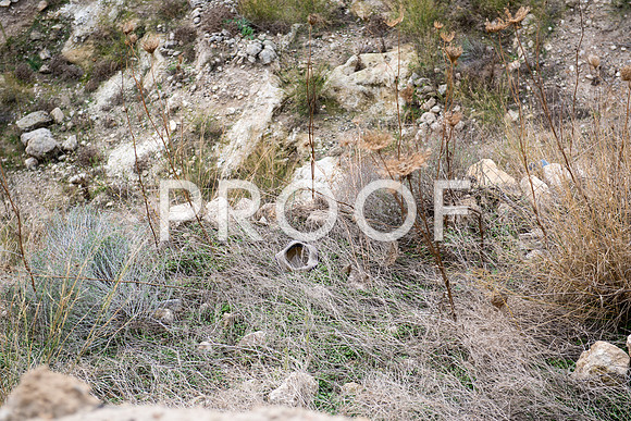 2018_Israel_Trip_03_03-Megiddo7008