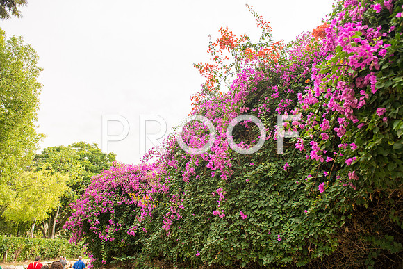 2018_Israel_Trip_03_04-GideonSprings7020