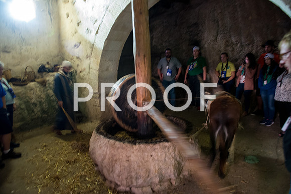 2018_Israel_Trip_03_07-NazVillage7136