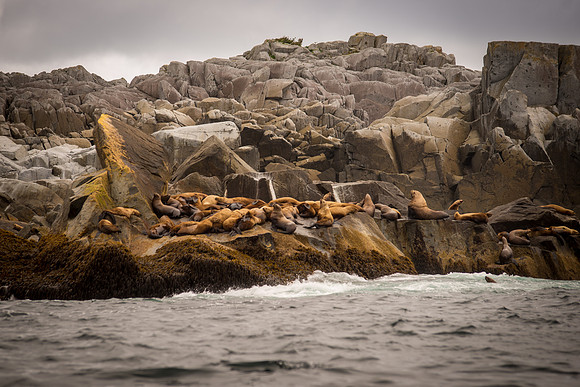 Fishing_610_2096