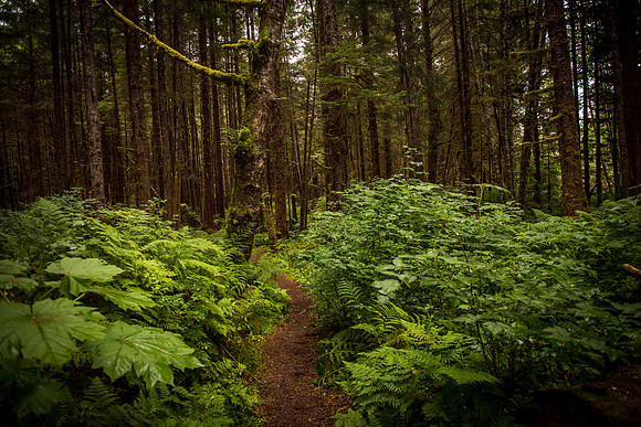 HarrisRiver_750_9183