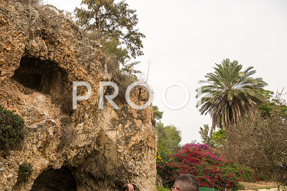 2018_Israel_Trip_03_04-GideonSprings7037