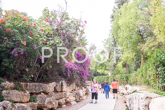 2018_Israel_Trip_03_04-GideonSprings7050