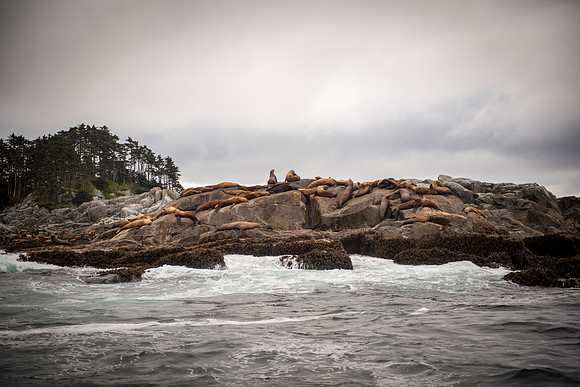 Fishing_750_9481
