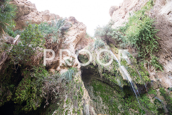 2018_Israel_Trip_05_05-7579