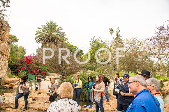 2018_Israel_Trip_03_04-GideonSprings7040