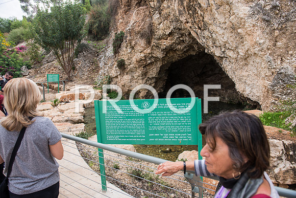 2018_Israel_Trip_03_04-GideonSprings7027
