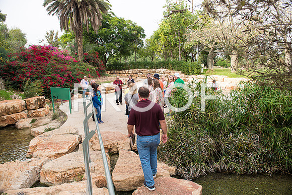 2018_Israel_Trip_03_04-GideonSprings7042