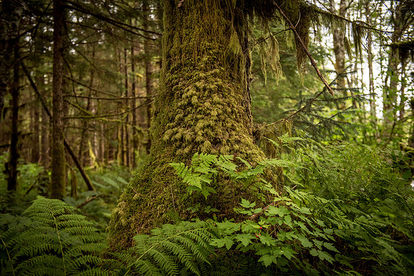 HarrisRiver_750_9185