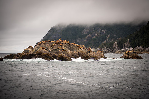 Fishing_750_9463