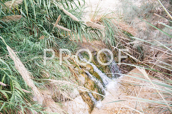 2018_Israel_Trip_05_05-7574
