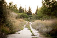 1908_2015_Israel_Trip_5588