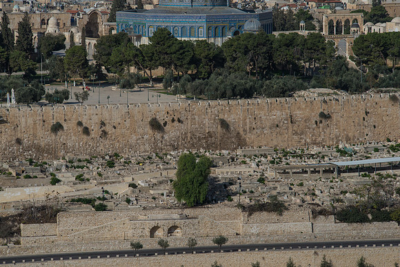 1168_2015_Israel_Trip_4798