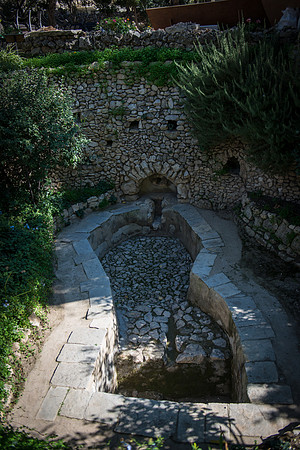 1843_2015_Israel_Trip_5514