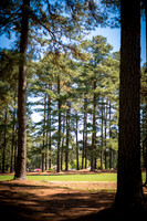0020_2015_CLC_Mens_Golf_Tuesday_8703